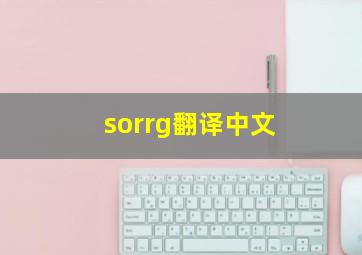 sorrg翻译中文