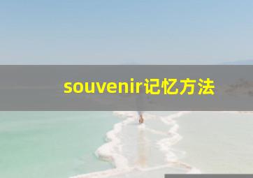 souvenir记忆方法