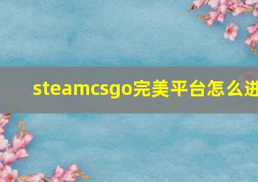 steamcsgo完美平台怎么进