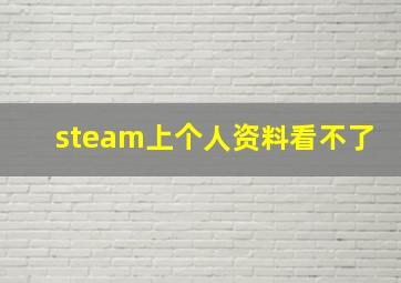 steam上个人资料看不了