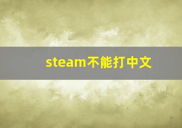 steam不能打中文