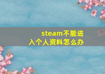 steam不能进入个人资料怎么办