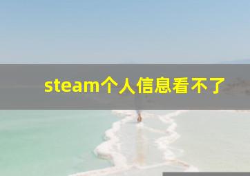 steam个人信息看不了