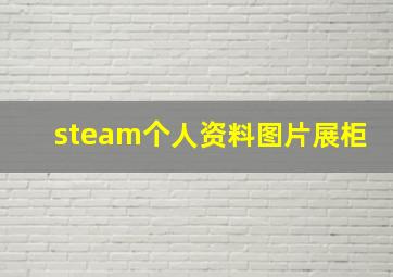 steam个人资料图片展柜