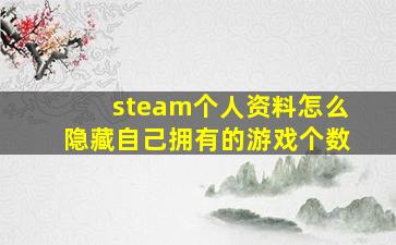 steam个人资料怎么隐藏自己拥有的游戏个数