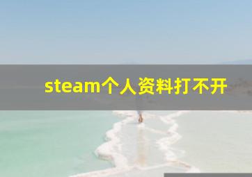 steam个人资料打不开