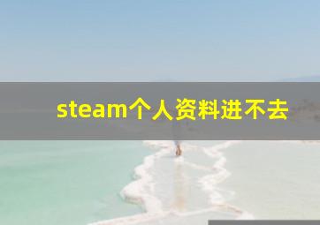 steam个人资料进不去