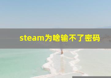 steam为啥输不了密码