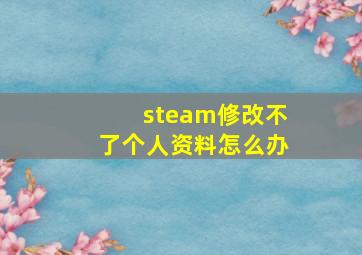 steam修改不了个人资料怎么办