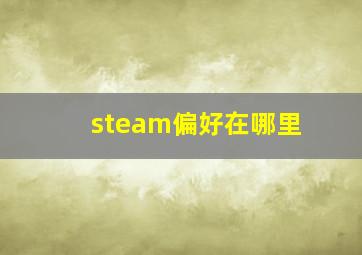 steam偏好在哪里