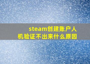 steam创建账户人机验证不出来什么原因