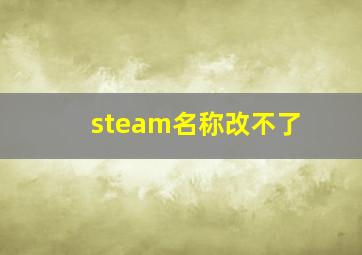 steam名称改不了