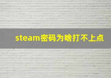 steam密码为啥打不上点