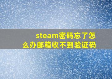 steam密码忘了怎么办邮箱收不到验证码