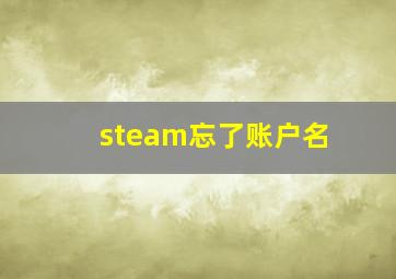 steam忘了账户名