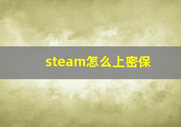 steam怎么上密保