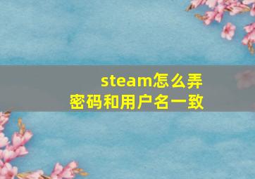 steam怎么弄密码和用户名一致