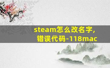 steam怎么改名字,错误代码-118mac