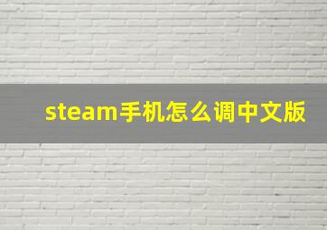 steam手机怎么调中文版