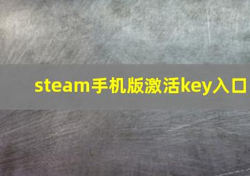 steam手机版激活key入口