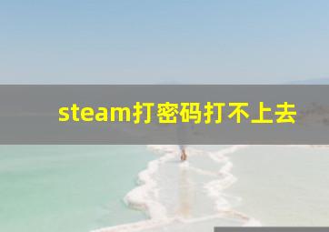 steam打密码打不上去