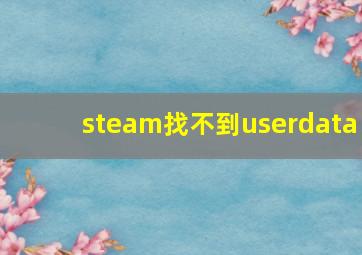 steam找不到userdata