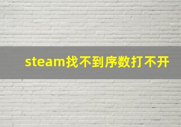 steam找不到序数打不开