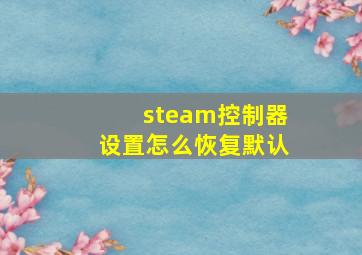 steam控制器设置怎么恢复默认