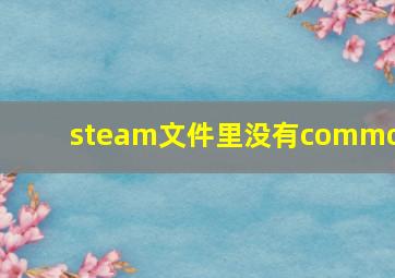 steam文件里没有common