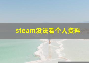 steam没法看个人资料