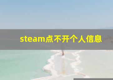 steam点不开个人信息