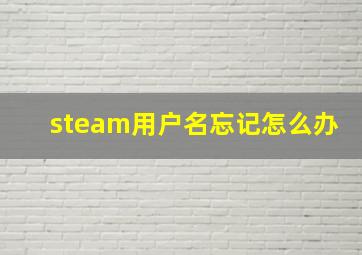 steam用户名忘记怎么办