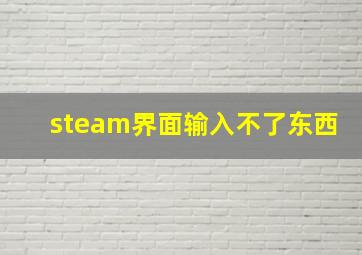 steam界面输入不了东西