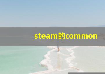 steam的common