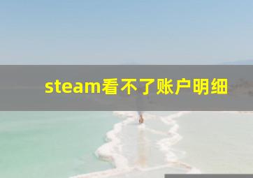 steam看不了账户明细