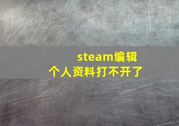 steam编辑个人资料打不开了