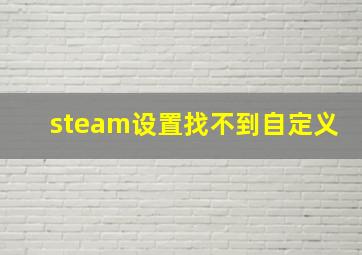 steam设置找不到自定义