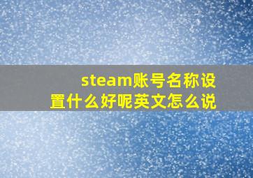 steam账号名称设置什么好呢英文怎么说