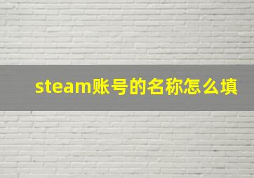 steam账号的名称怎么填