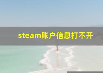 steam账户信息打不开