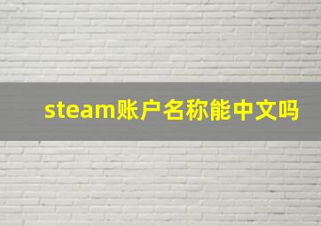 steam账户名称能中文吗