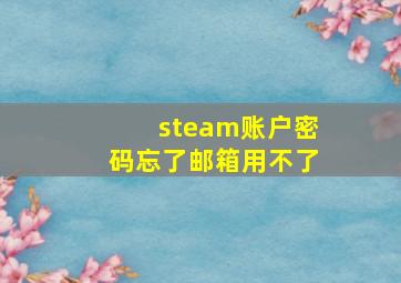 steam账户密码忘了邮箱用不了