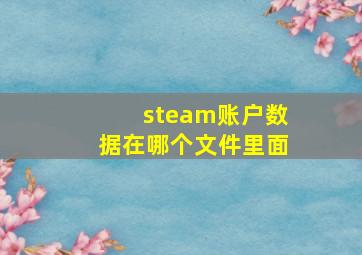 steam账户数据在哪个文件里面