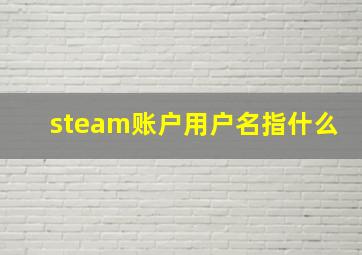 steam账户用户名指什么