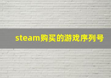 steam购买的游戏序列号