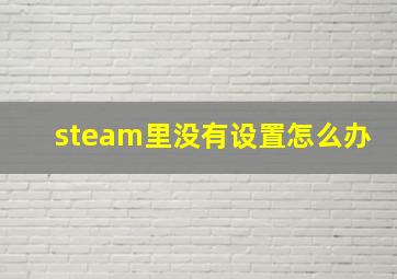 steam里没有设置怎么办