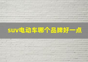 suv电动车哪个品牌好一点