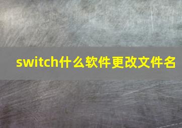 switch什么软件更改文件名