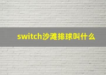 switch沙滩排球叫什么