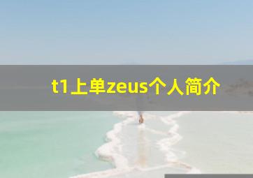 t1上单zeus个人简介